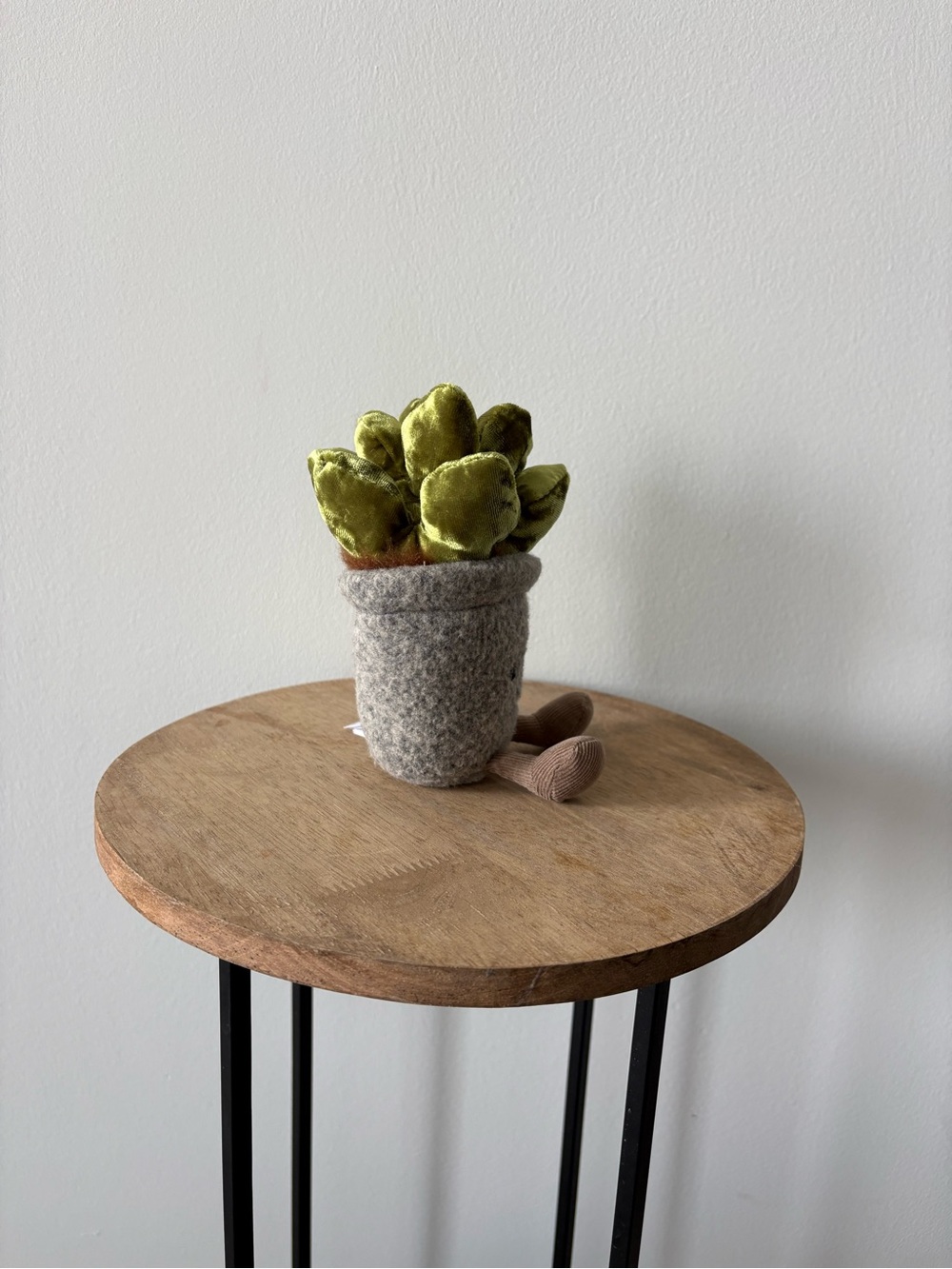 Jellycat Silly Succulent Jade RETIRED - Picture 4 of 7